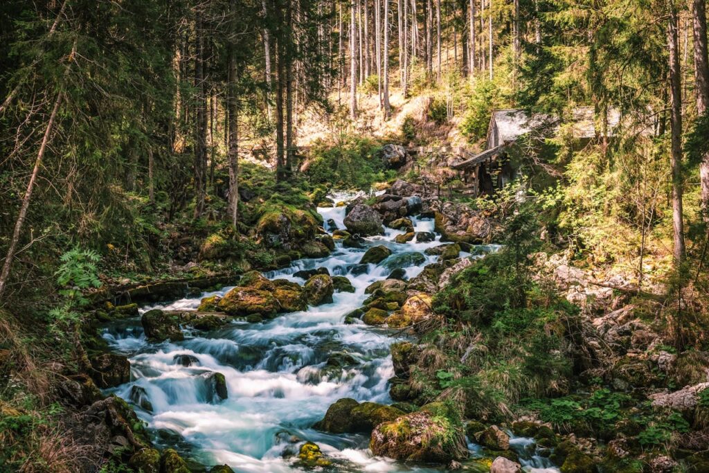 Crafting Captivating Headlines: Your awesome post title goes here Hegyi patak zúgása